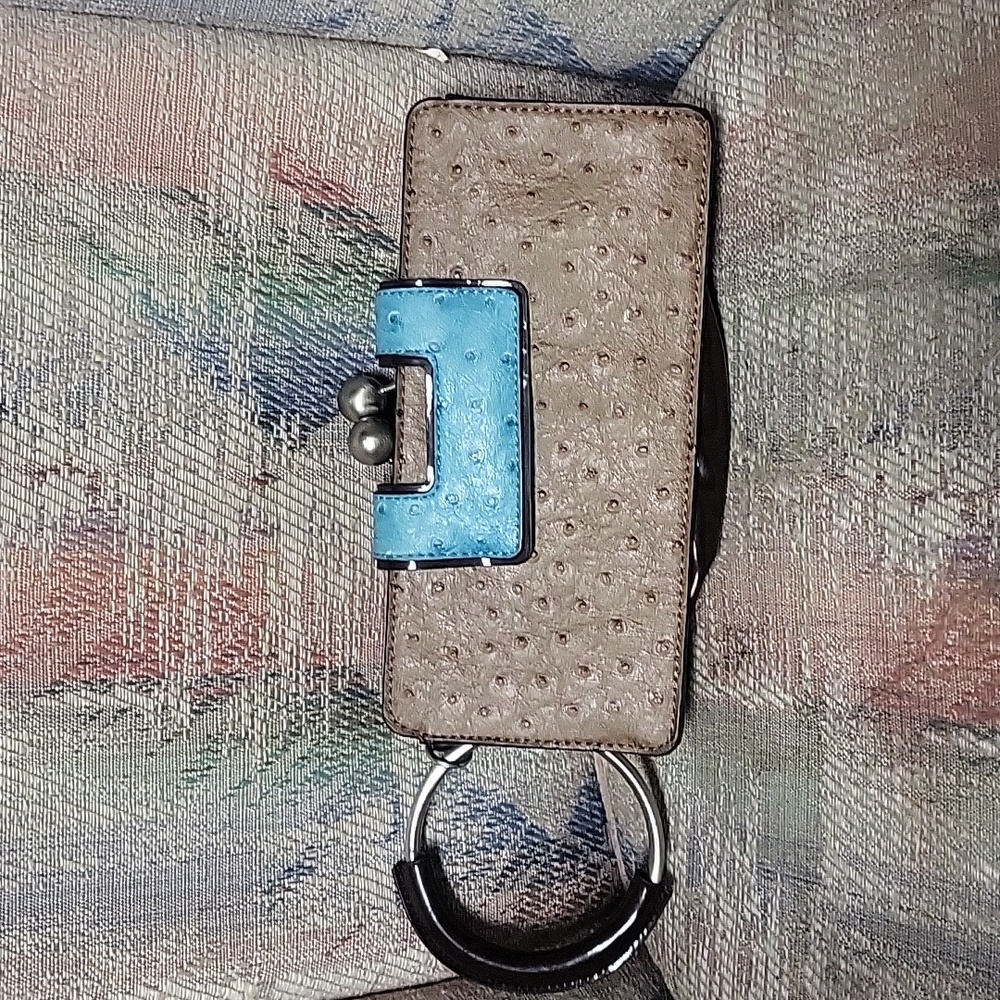 Really cute clutch by the limited